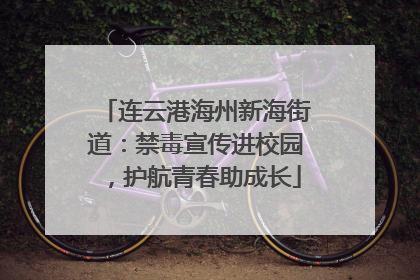 连云港海州新海街道：禁毒宣传进校园，护航青春助成长